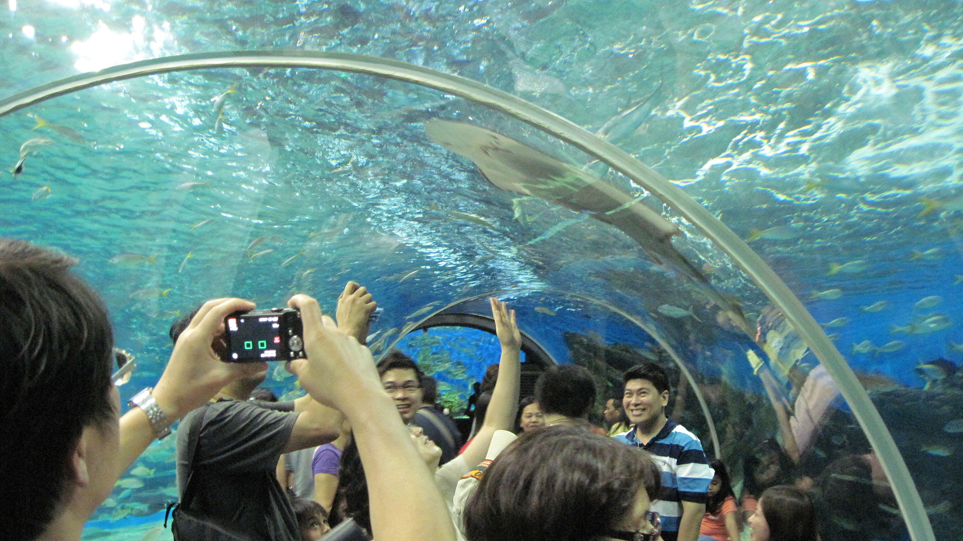 Oceanarium at Manila Ocean Park, Philippines