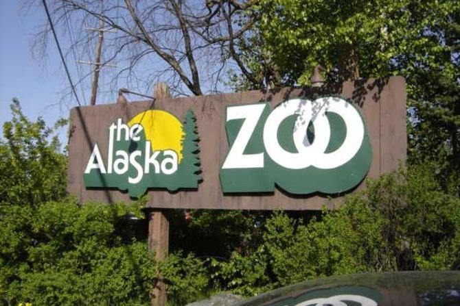 Aljašská zoo
