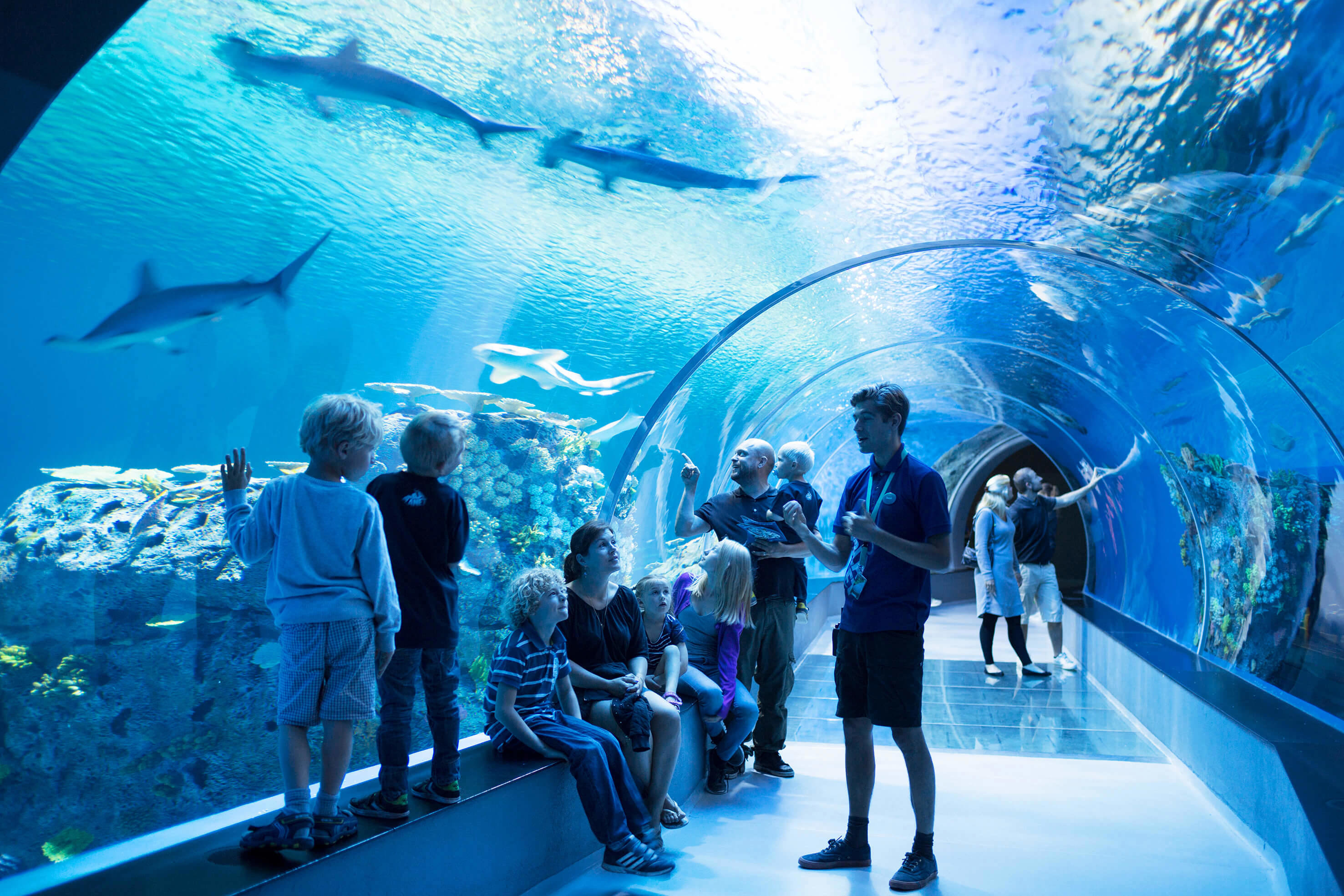 akvárium v Kodani