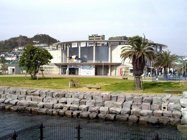 長崎ペンギン水族館, 長崎市宿町(Nagasaki Penguin Aquarium, Shuku-machi, Nagasaki)