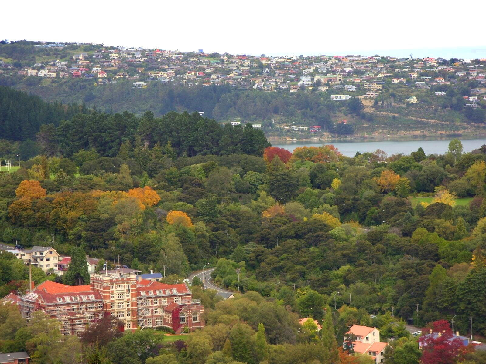 Dunedin - The Knox facade and Botanic Gardens on the South, with the Otago Peninsula and a sliver of harbour on the far side of the hill.