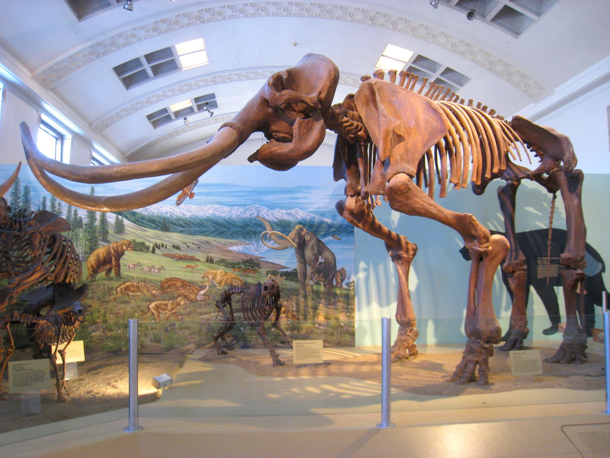 Prírodovedné múzeum Utahu
