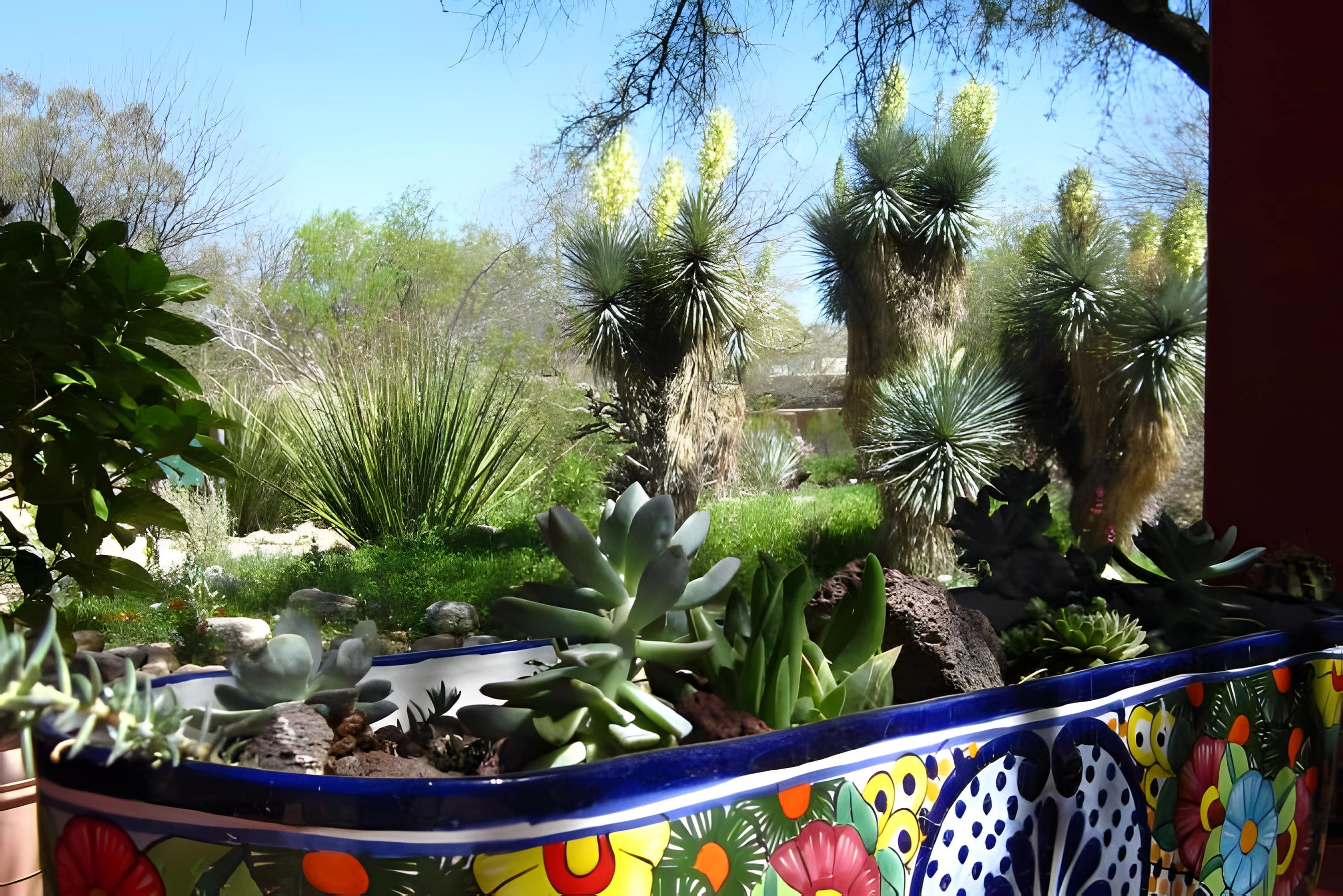 Botanické záhrady Tucson